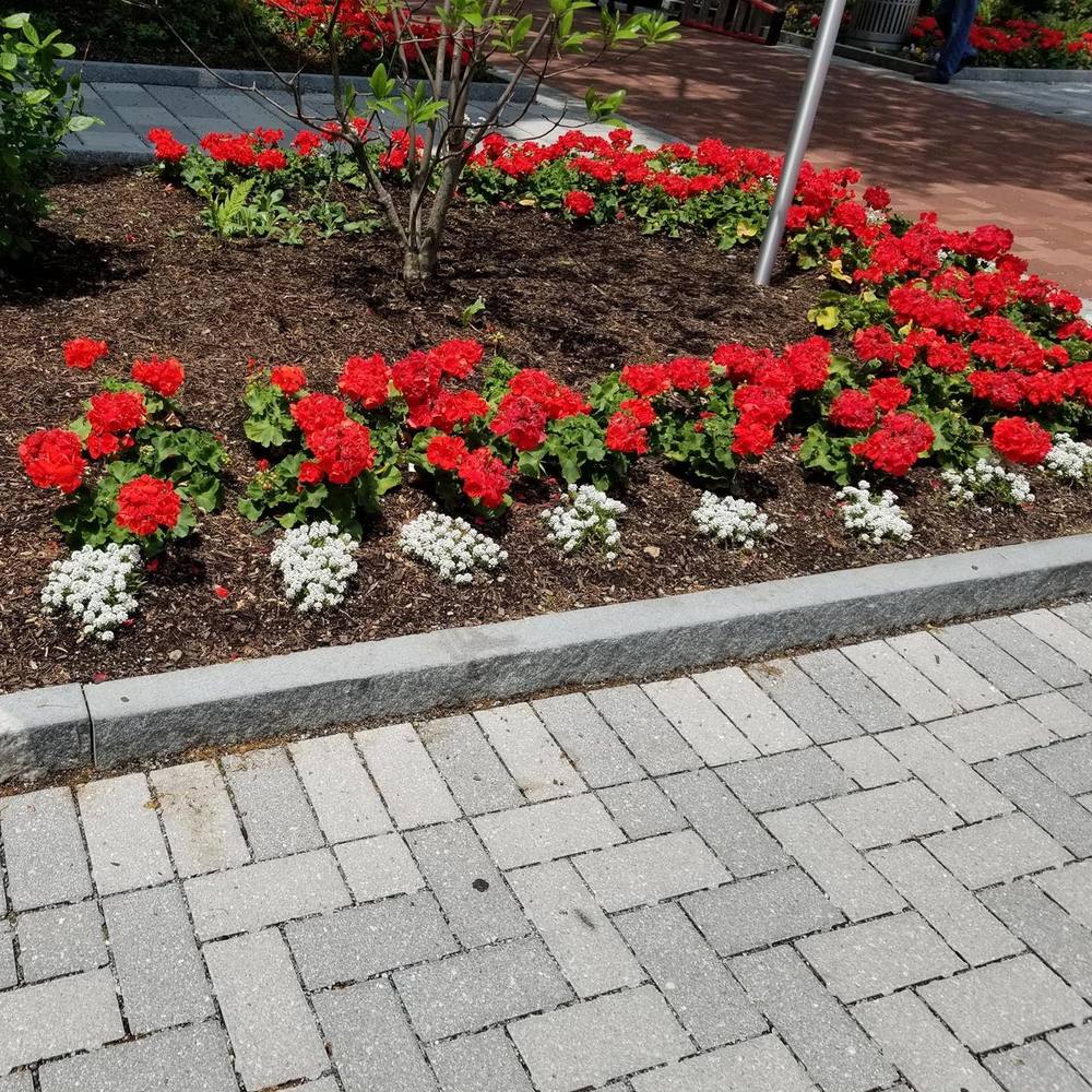 Meet your Posher, Sheila